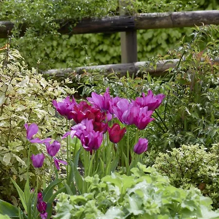 Hébergement de vacances 2 Bed In Oc-sz188 Keswick (Cumbria)